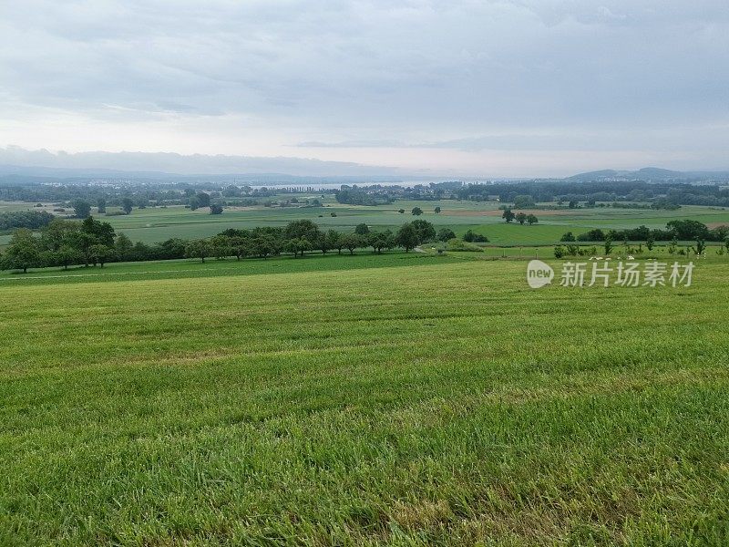 康斯坦斯湖和周围的山坡Bodenrück和Schiener Berg全景图